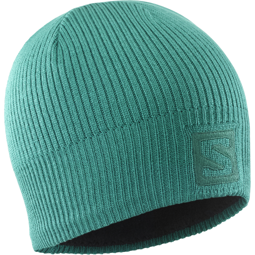 LC1848100_0_GHO_logobeanie_pacific_ski_u.png