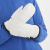 LC1901500_0_MOD_nativegoretexmitten_white_frontview_w.png