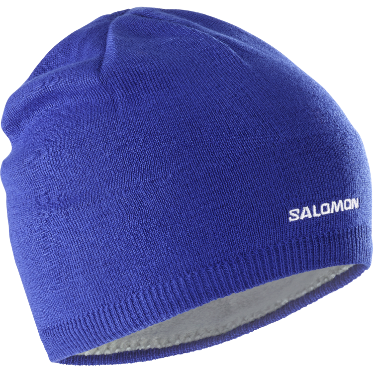 LC2142900_0_GHO_salomonbeanie_surftheweb_ski_u.png