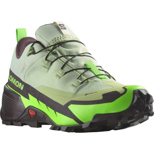 L47277600_5_GHO_CROSS HIKE GTX 2Desert Sage_Green Gecko_Chocolate Plum.png