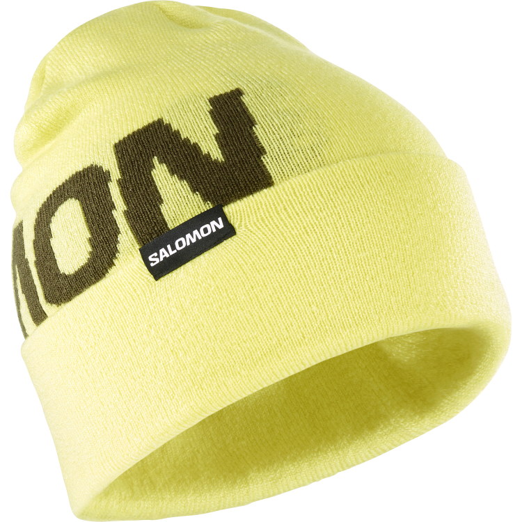 LC2152700_0_GHO_hermitagebeanie_charlock_ski_u.png
