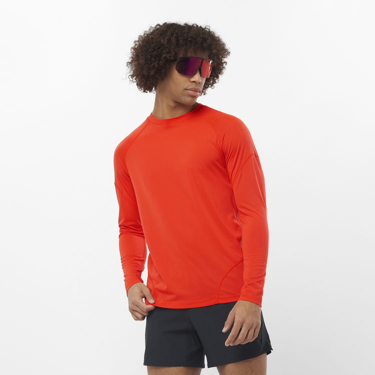 LC2265300_0_MOD_crossrunlstee_cherrytomato_run_m.png