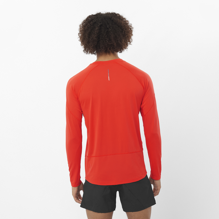 LC2265300_1_MOD_crossrunlstee_cherrytomato_run_m.png
