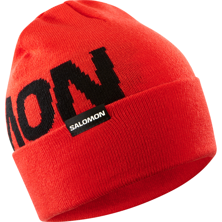 LC2302900_0_GHO_hermitagebeanie_cherrytomato_ski_u.png