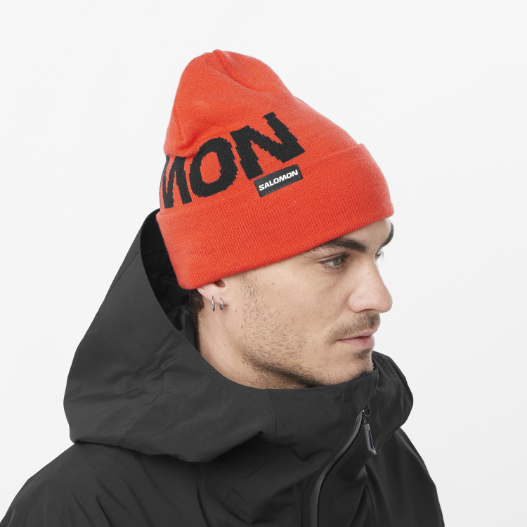 LC2302900_0_MOD_hermitagebeanie_cherrytomato_ski_um.png