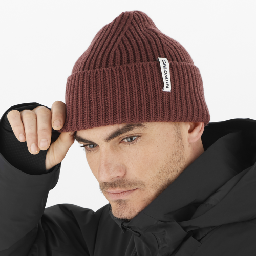 LC2303300_0_MOD_snowbirdbeanie_rumraisin_ski_um.png