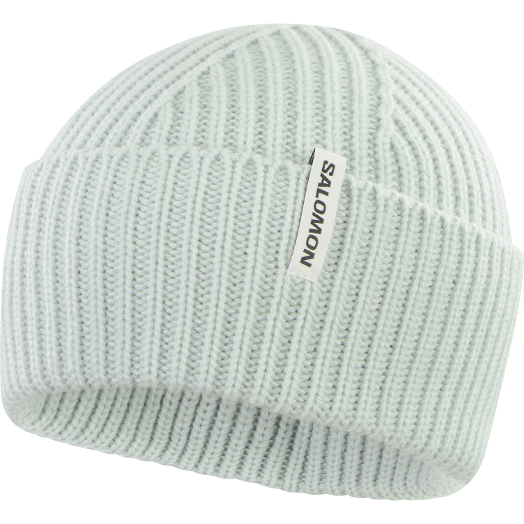 LC2329700_0_GHO_snowbirdbeanie_mistyblue_ski_u.png