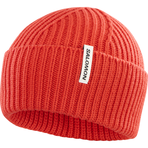 LC2329600_0_GHO_snowbirdbeanie_cherrytomato_ski_u.png