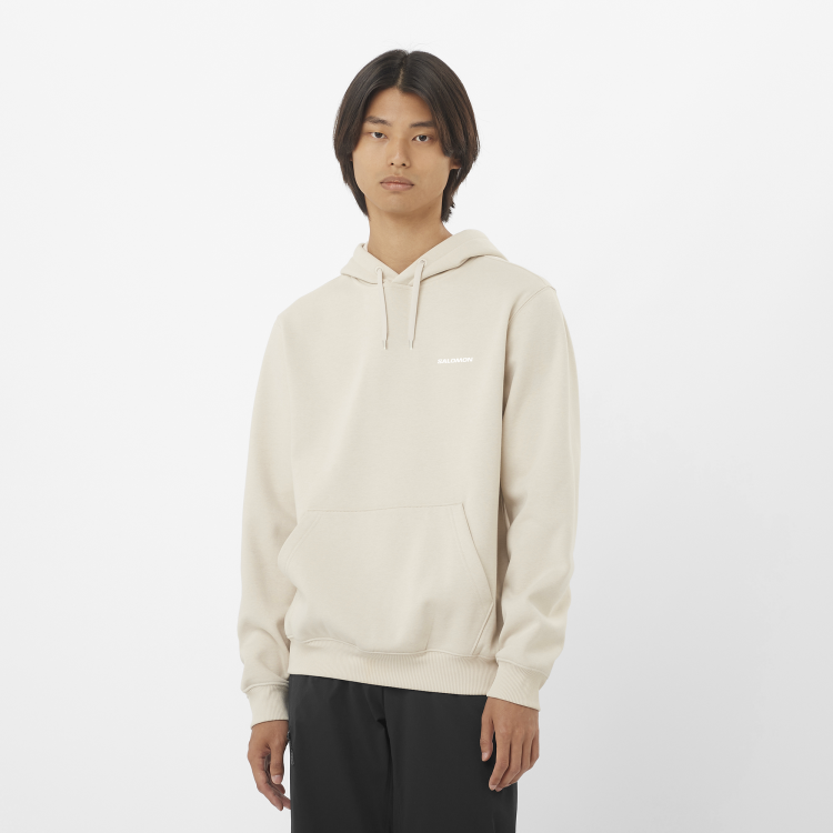 LC2523200_0_MOD_salomonlogohoodie_rainyday_sportswear_m.png