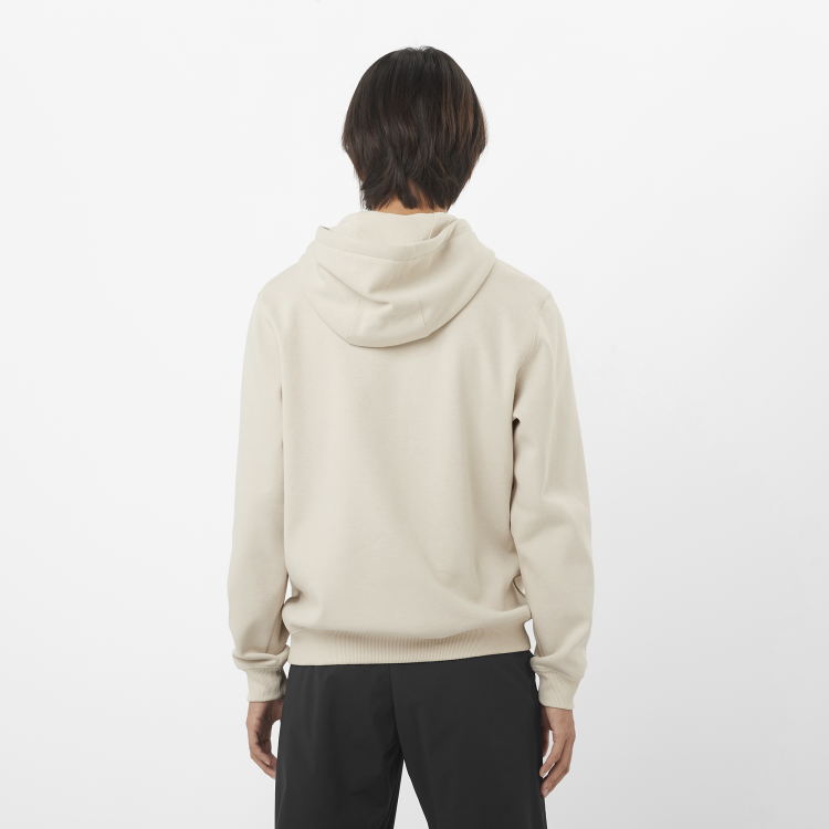 LC2523200_1_MOD_salomonlogohoodie_rainyday_sportswear_m.png
