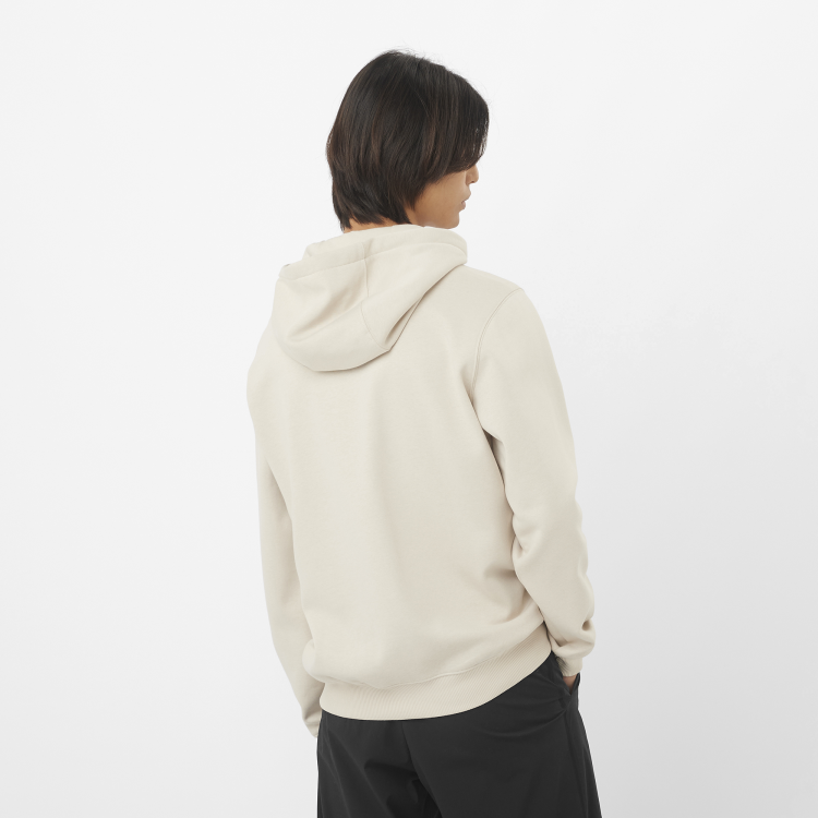 LC2522100_1_MOD_salomonlogofzhoodie_rainyday_sportswear_m.png