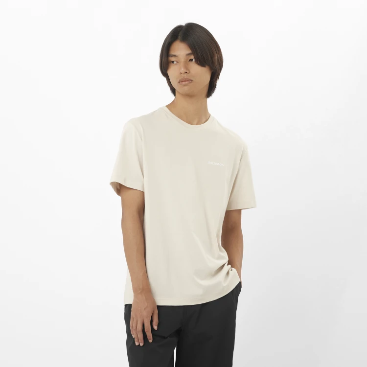 LC2526300_0_MOD_salomonlogotee_rainyday_sportswear_m.png