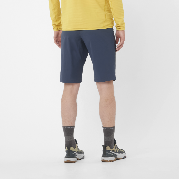 LC2477900_1_MOD_wayfarershorts_bluenights_hike_m.png