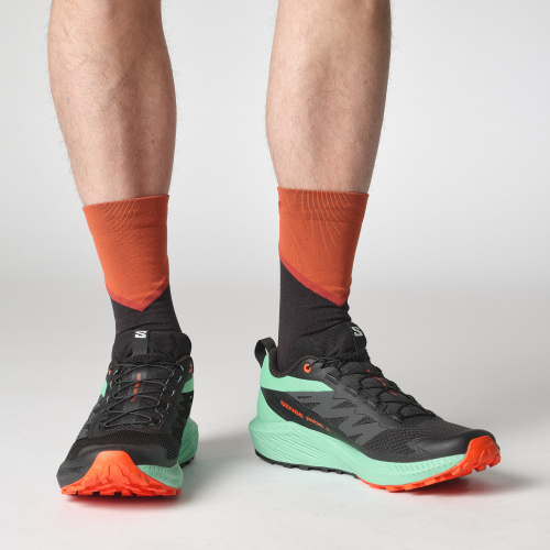 L47698200_0_MOD_SENSE RIDE 5Black_Bay_Cherry Tomato.png