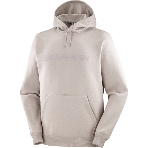 LC2525500_0_GHO_salomonbiglogohoodie_etherea_sportswear_m.png