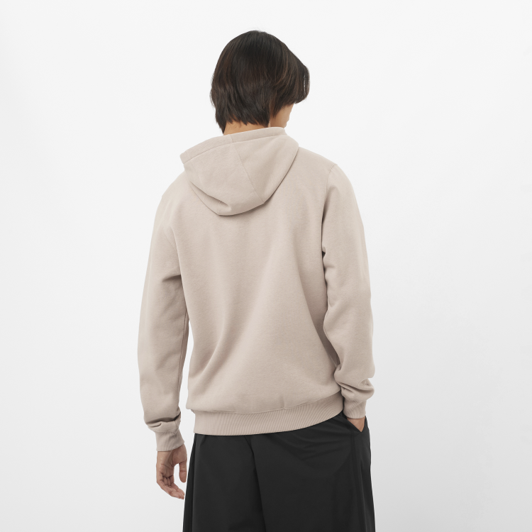 LC2525500_1_MOD_salomonbiglogohoodie_etherea_sportswear_m.png
