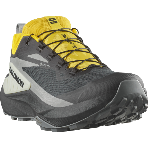 L47978000_5_GHO_GENESIS GTX Black-SED.png