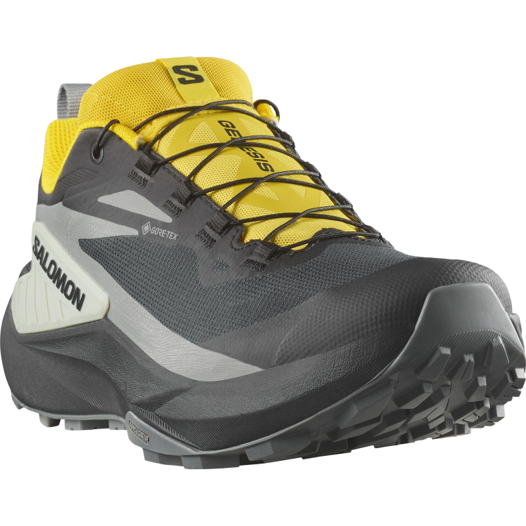 L47978000_5_GHO_GENESIS GTX Black-SED.png