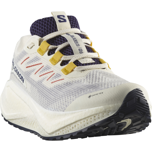 L47974100_5_GHO_AERO BLAZE 3 GRVL GTX.png