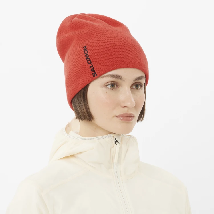 LC2708800_1_MOD_graphicbeanie_cherrytomato_ski_uw.png