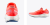 491545AC.PNG