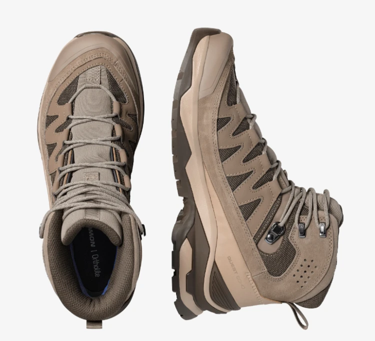 491464D.PNG